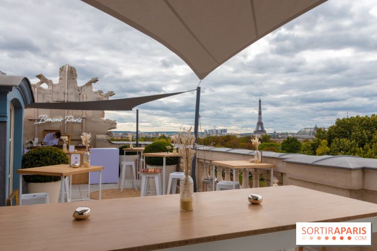 Le Rooftop secret de l'Hôtel de Crillon 