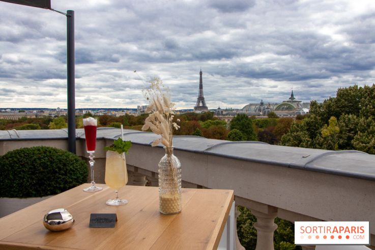 Le Rooftop secret de l'Hôtel de Crillon 