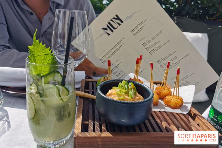 Photos Mun Rooftop Champs-Elysées