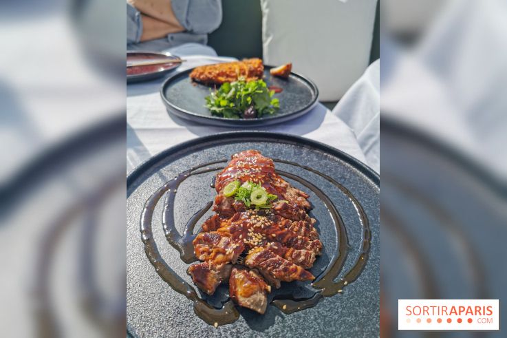 Photos Mun Rooftop Champs-Elysées