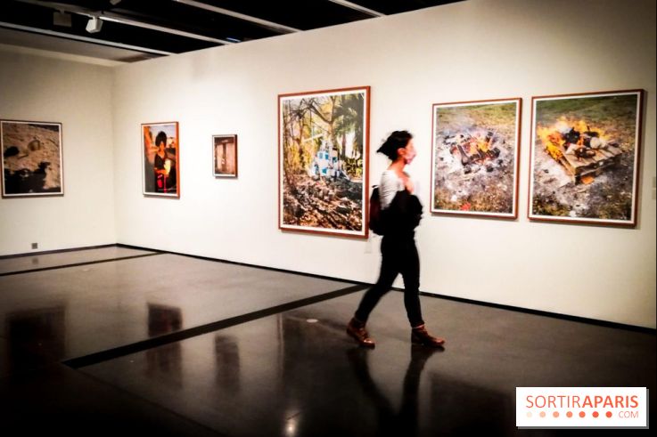 Soleil cou coupé, l'expo photo de Gregory Halpern à la Fondation Henri Cartier-Bresson