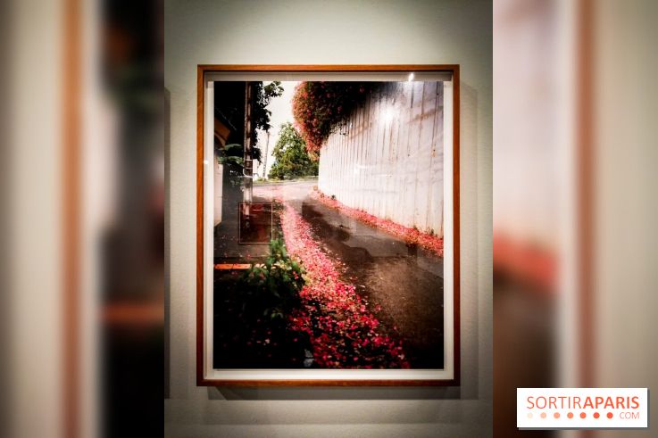 Soleil cou coupé, l'expo photo de Gregory Halpern à la Fondation Henri Cartier-Bresson