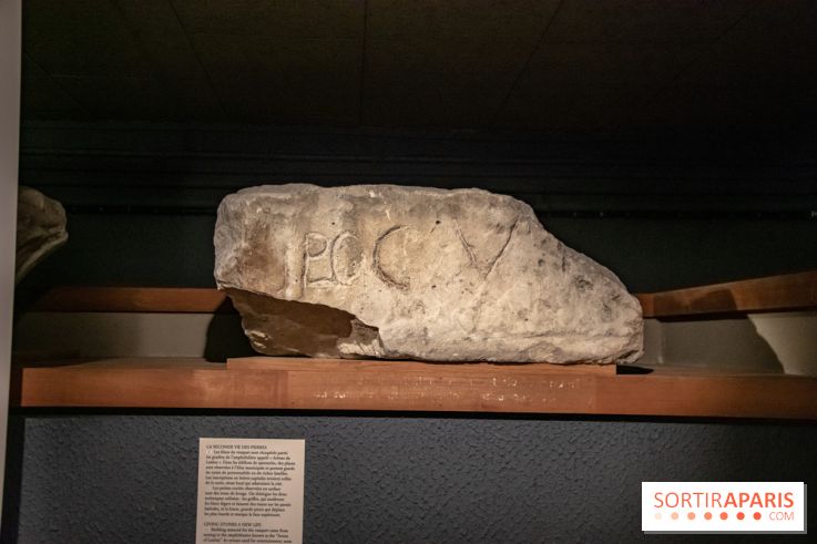 La Crypte archéologique de Paris sous Notre-Dame rouvre ses portes