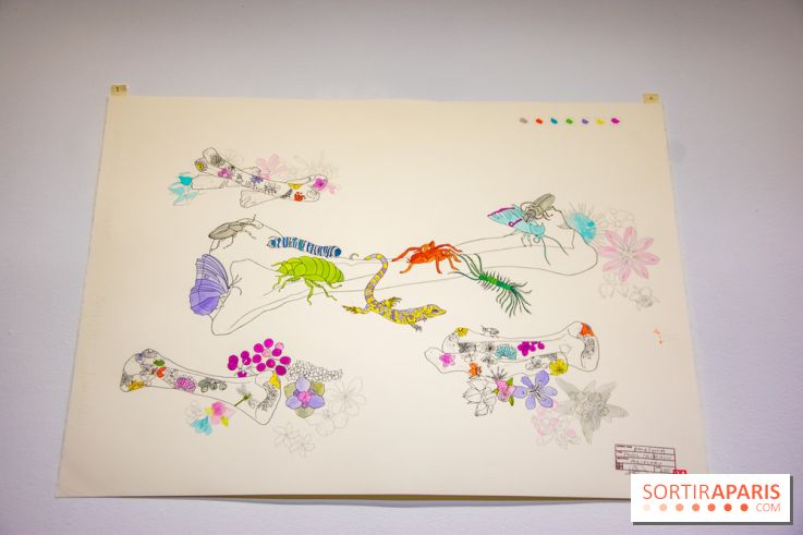 Exposition Lucy+Jorge Orta au Drawing Lab