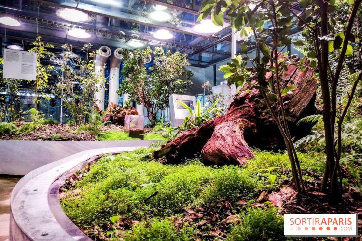 Bio-inspirée, la nouvelle expo permanente à la Cité des Sciences et de l'Industrie