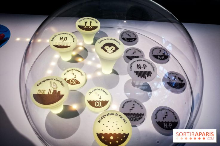 Bio-inspirée, la nouvelle expo permanente à la Cité des Sciences et de l'Industrie