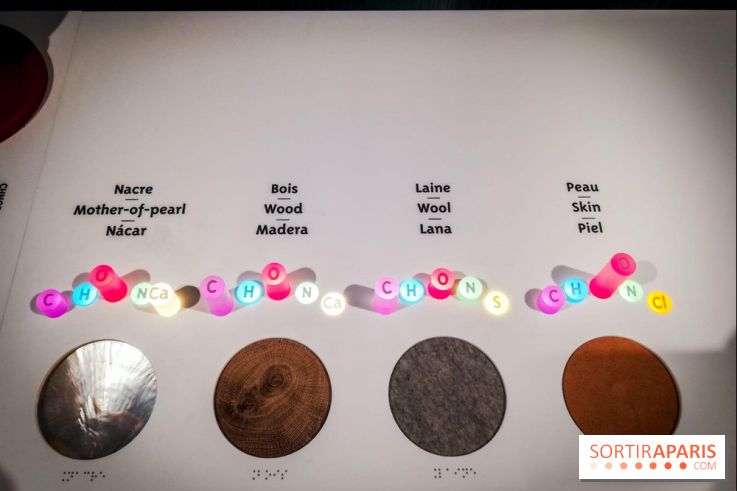 Bio-inspirée, la nouvelle expo permanente à la Cité des Sciences et de l'Industrie