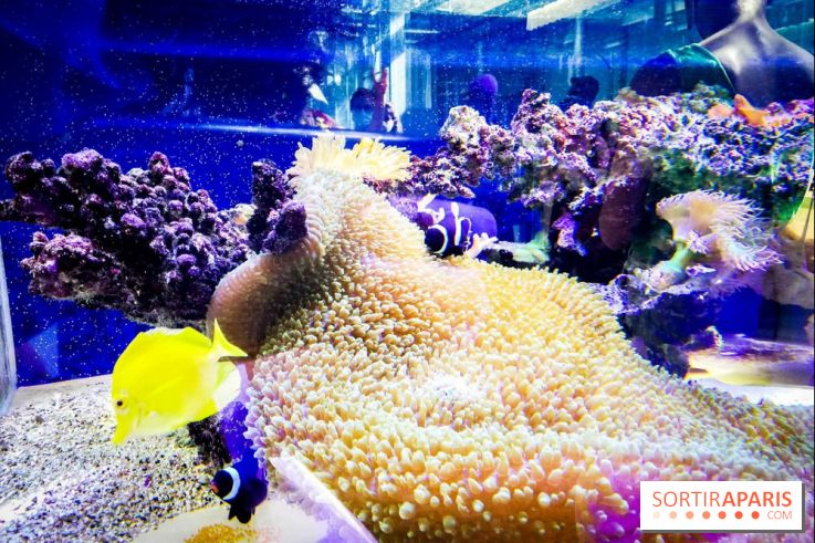 Bio-inspirée, la nouvelle expo permanente à la Cité des Sciences et de l'Industrie