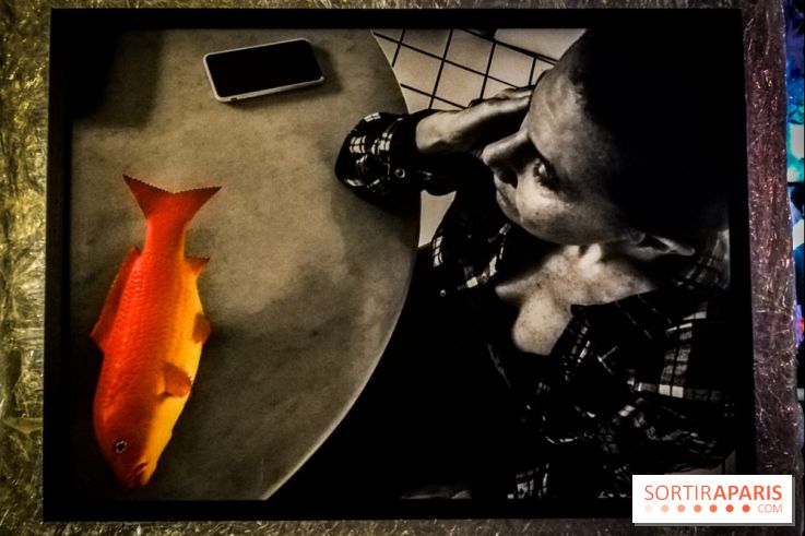 Mythologies du poisson rouge, l'exposition de l'Appart Renoma, nos photos