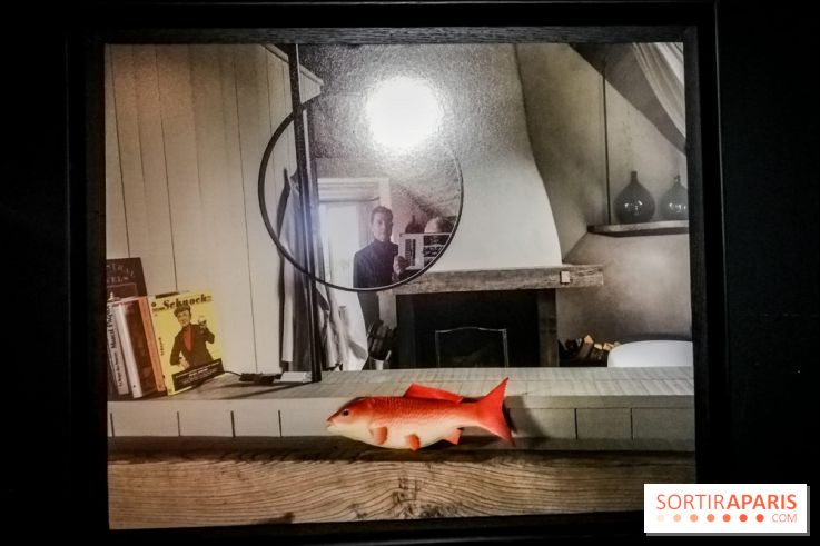 Mythologies du poisson rouge, l'exposition de l'Appart Renoma, nos photos