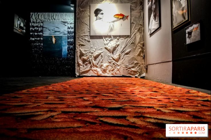 Mythologies du poisson rouge, l'exposition de l'Appart Renoma, nos photos