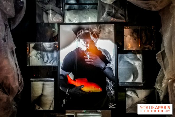 Mythologies du poisson rouge, l'exposition de l'Appart Renoma, nos photos