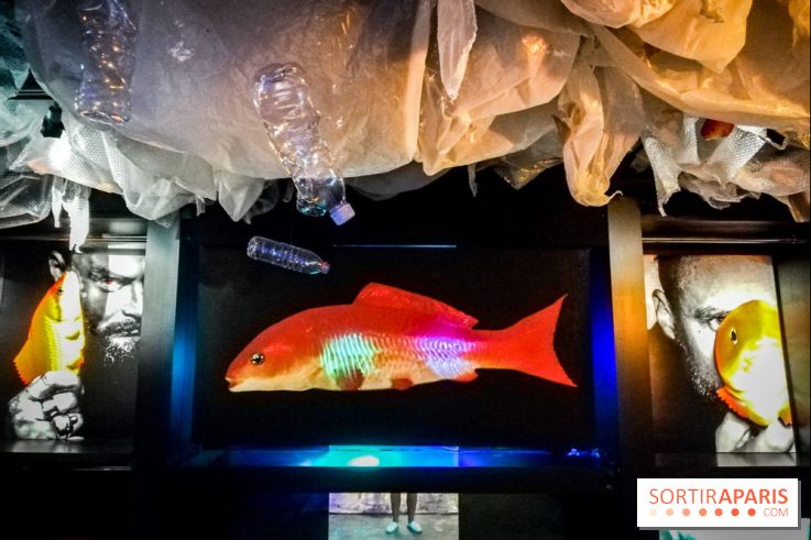 Mythologies du poisson rouge, l'exposition de l'Appart Renoma, nos photos
