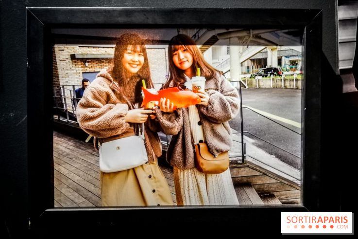 Mythologies du poisson rouge, l'exposition de l'Appart Renoma, nos photos