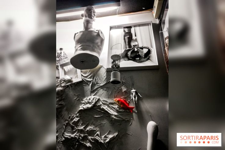 Mythologies du poisson rouge, l'exposition de l'Appart Renoma, nos photos