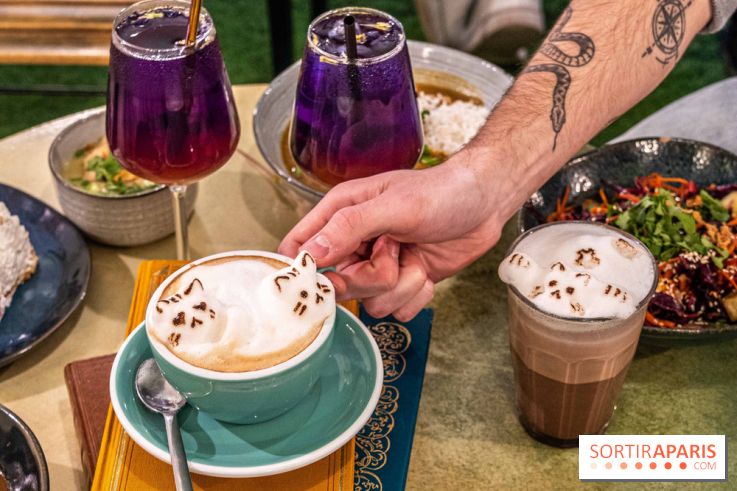 Pingwoo Coffee Garden, le restaurant fusion