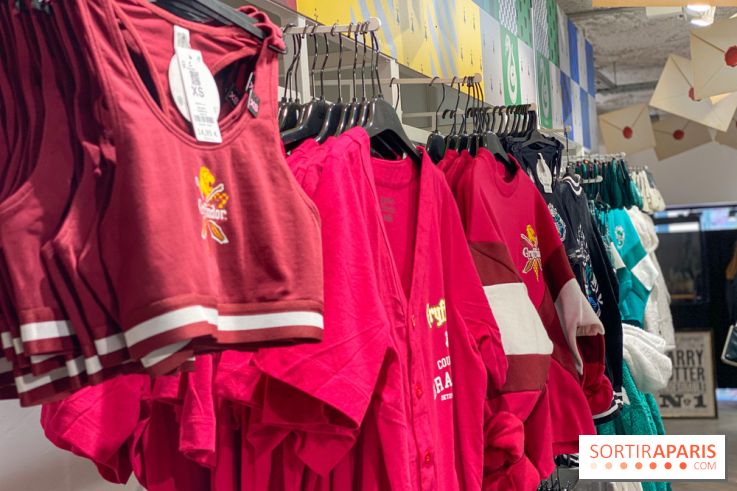 Brassière et tunique Gryffondor