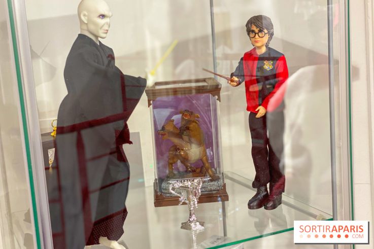 Les vitrines avec des figurines de la saga