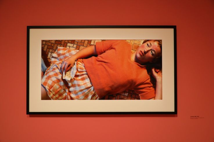 Photos exposition Cindy Sherman à la Fondation Vuitton 