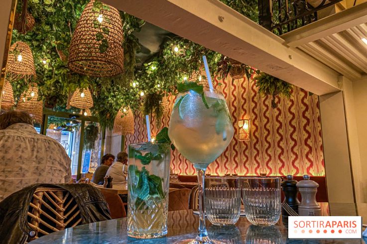 Photos : Restaurant Javette, Bistrot et Bar à Vin