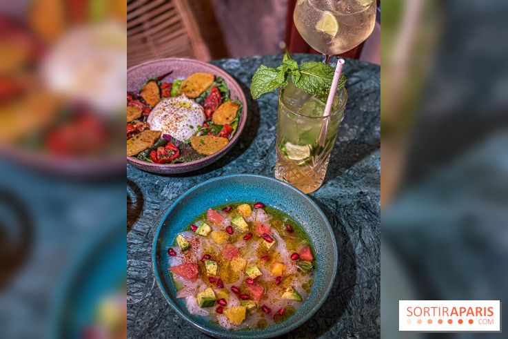 Photos : Restaurant Javette, Bistrot et Bar à Vin