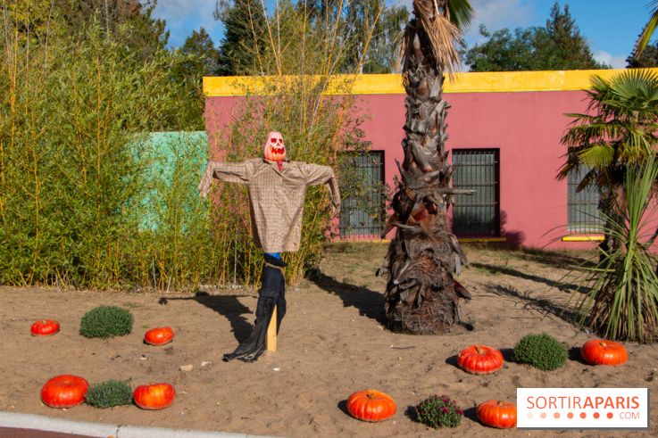 Photos : Halloween 2020 à la Mer de Sable