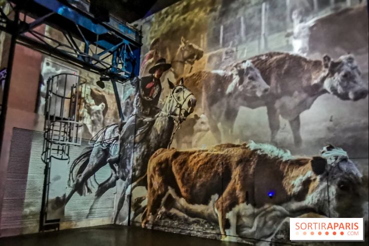 Photos : Exposition immersive Jimmy Nelson : The last sentinels à l’Atelier des Lumières 