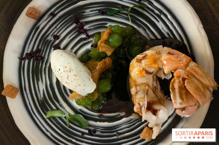 Le Domaine de la Corniche