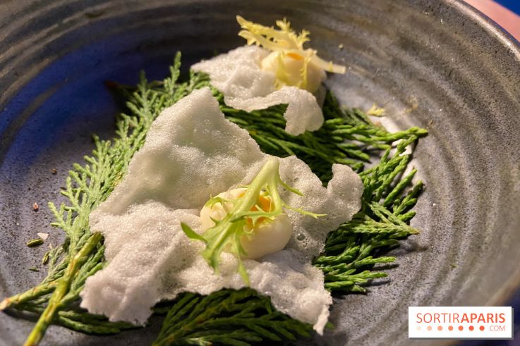 Le Domaine de la Corniche