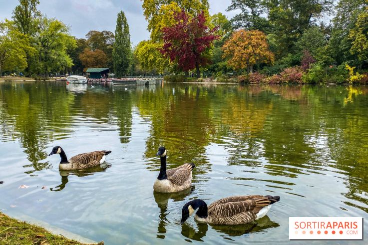 Visuel Paris, Lac Daumesnil bois de Vincennes