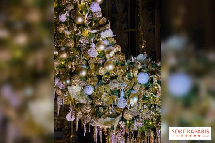 Photos : Vaux-le-vicomte en Lumières