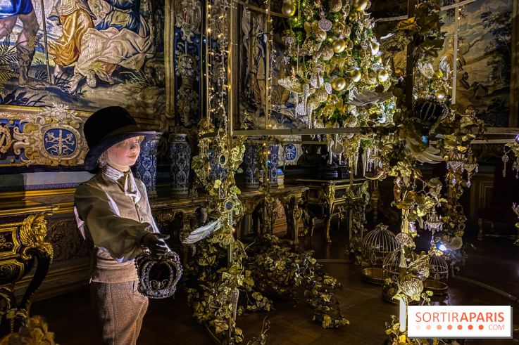 Photos : Vaux-le-vicomte en Lumières