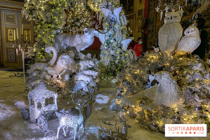 Photos : Vaux-le-vicomte en Lumières animaux