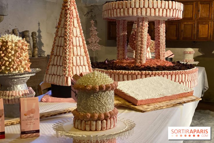 Photos : Vaux-le-vicomte en Lumières birscuit