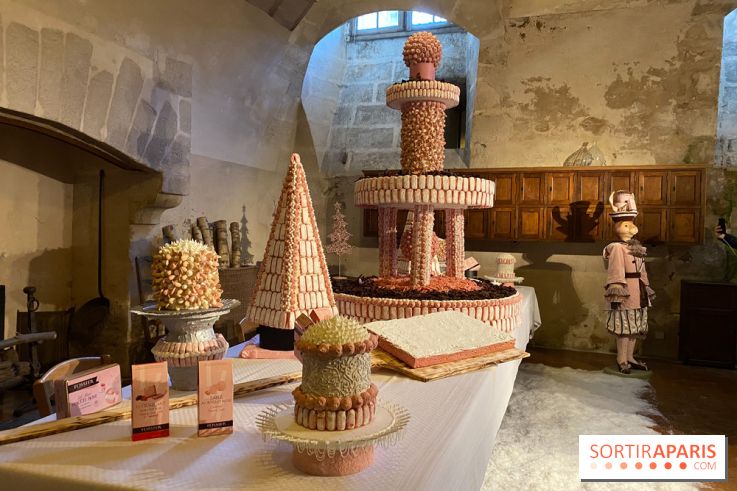 Photos : Vaux-le-vicomte en Lumières biscuits