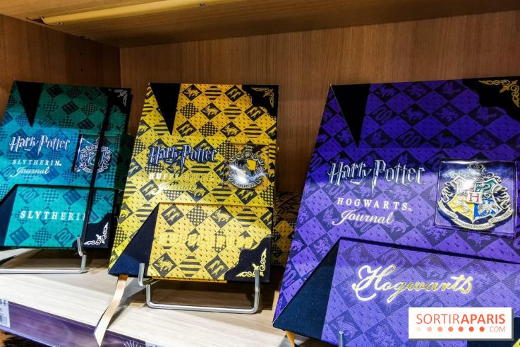 Boutique Wizarding World Harry Potter au Village JouéClub