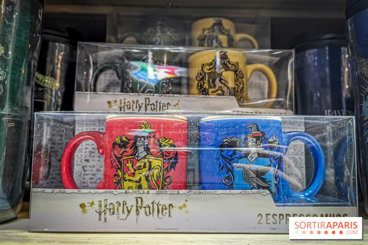 Boutique Wizarding World Harry Potter au Village JouéClub
