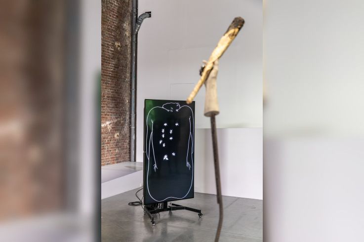 Exposition Anticorps au Palais de Tokyo