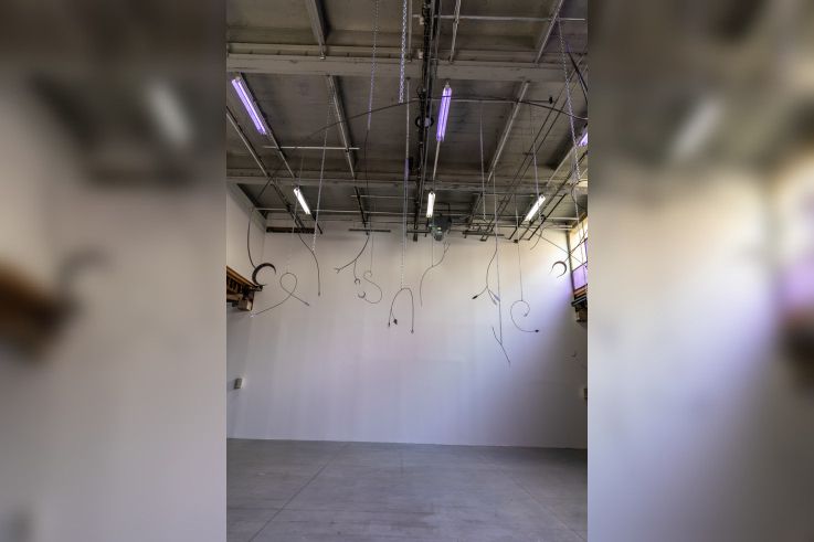 Exposition Anticorps au Palais de Tokyo