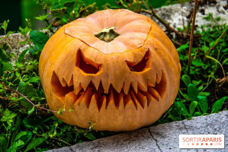 Halloween 2020 : comment creuser sa citrouille ? Le tuto