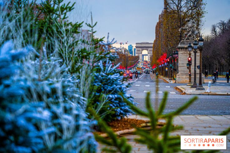 Photos : Illuminations et sapins de Noël Place de la Concorde