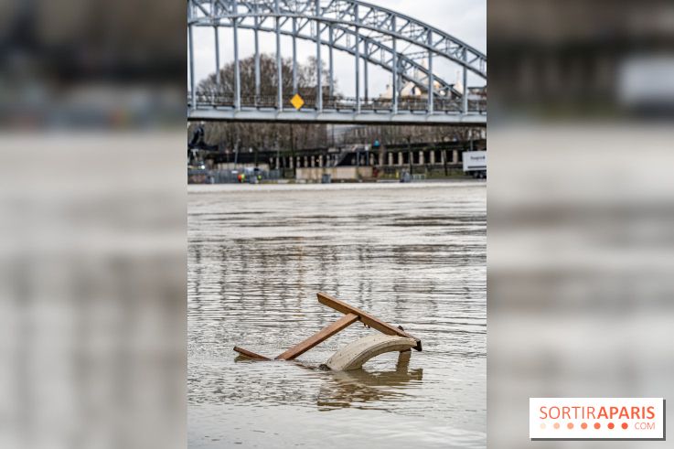 La Seine en crue février 2021