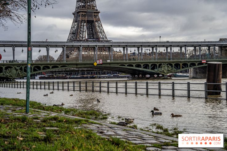 La Seine en crue février 2021