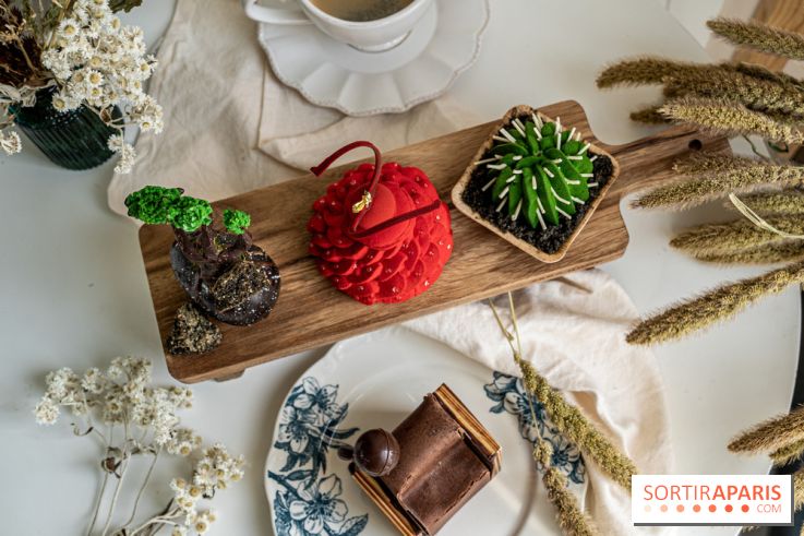 Photos : Wonderland Pâtisserie 