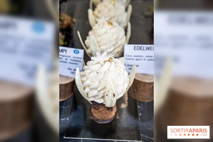 Photos : Wonderland Pâtisserie 