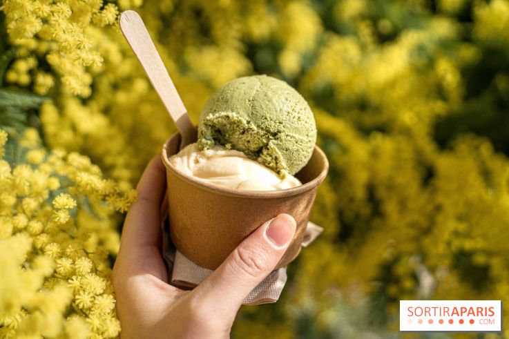 Photos : Wonderland Pâtisserie 