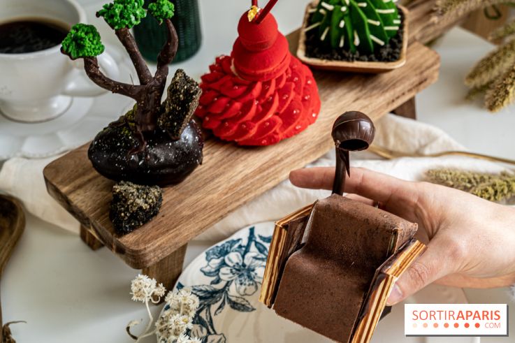 Photos : Wonderland Pâtisserie 