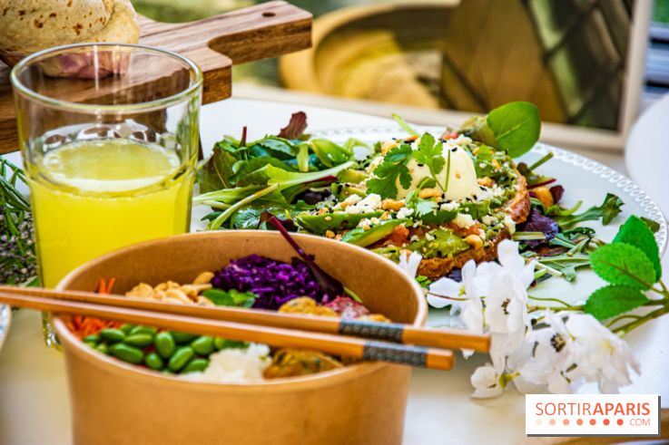 Fuumi nouvelle carte