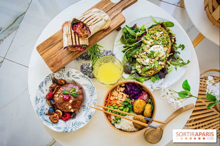 Fuumi nouvelle carte