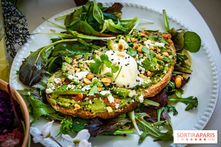 Fuumi nouvelle carte